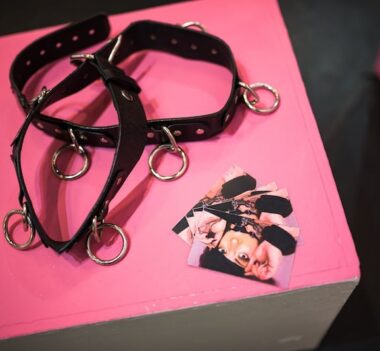 {{brizy_dc_image_alt imageSrc=